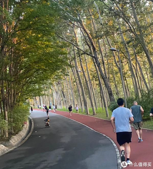 摩专业跑者, img