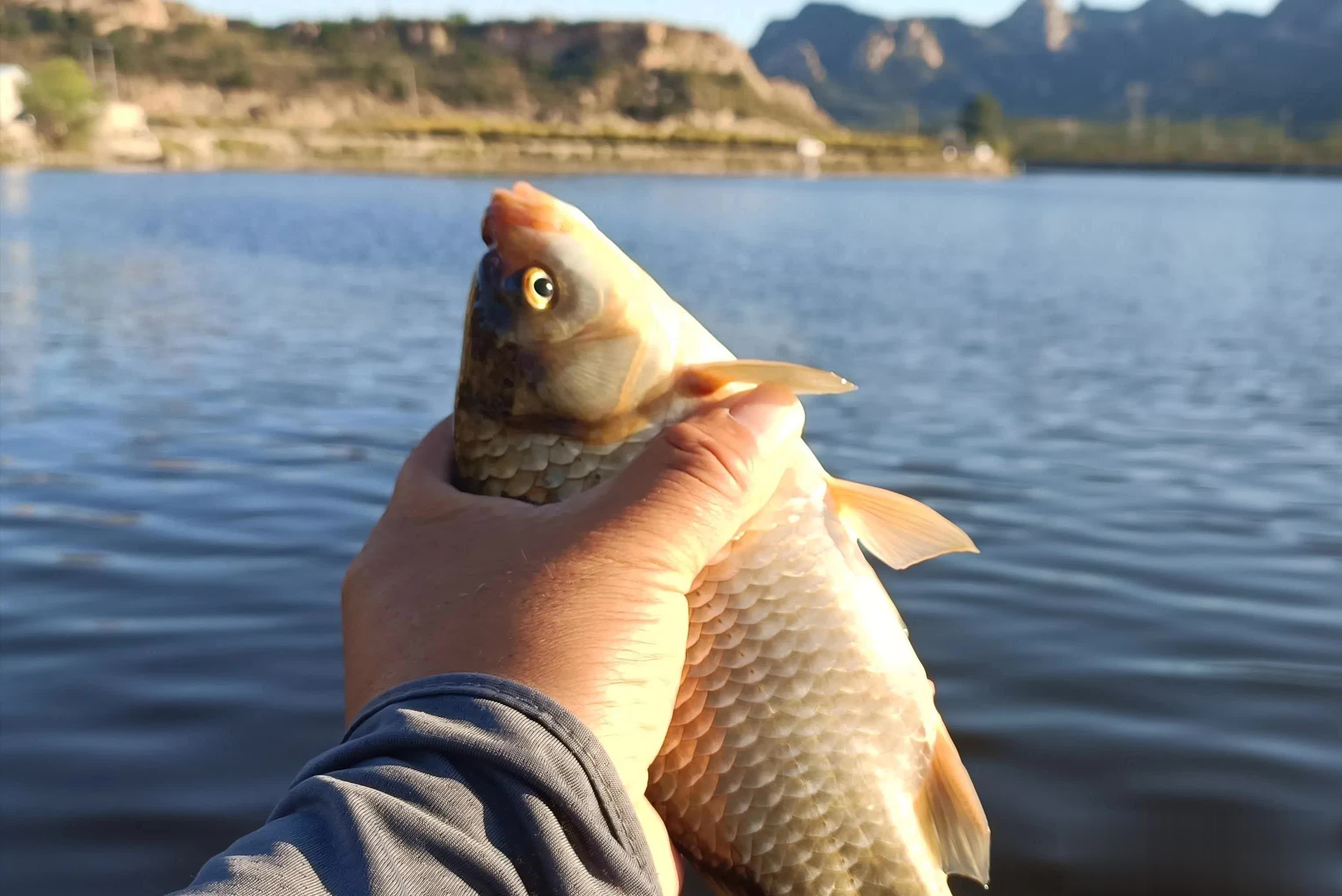 用了就空军 用了就空军