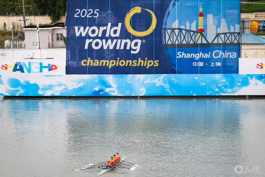 AA, img, SCPLP AA, img, SCPLP